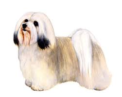 犬を家族に迎える前に